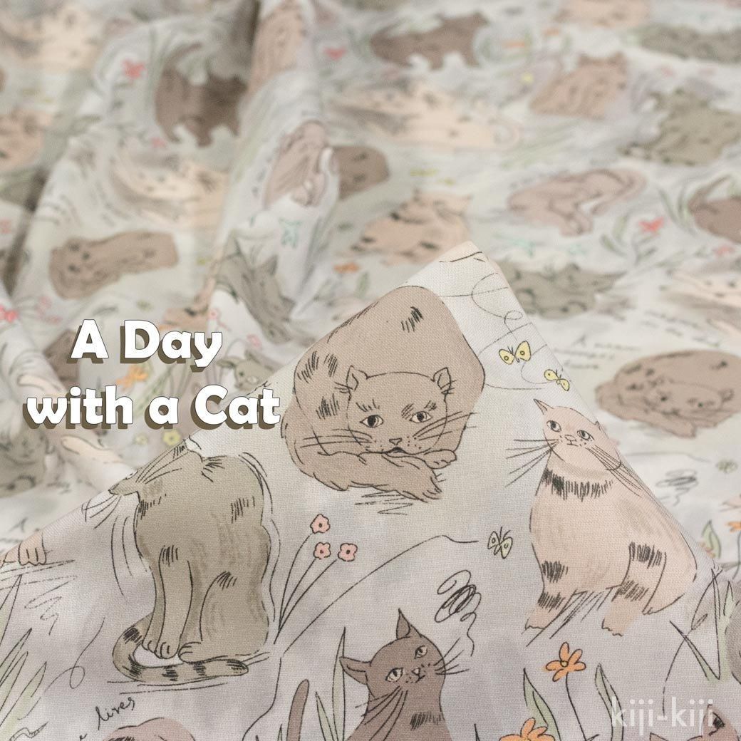 [ åȥ󥷡 ] A Day with a CatåͥΰNORAå졼١NORA-8