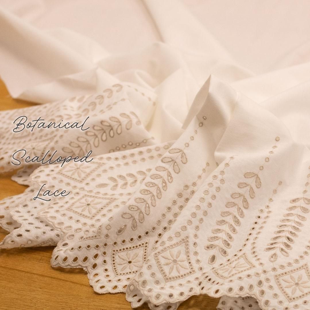 [ ڥѥĻ ]Ҽåסܥ˥scallopBotanical0010-2 ۥ磻ȡߥ