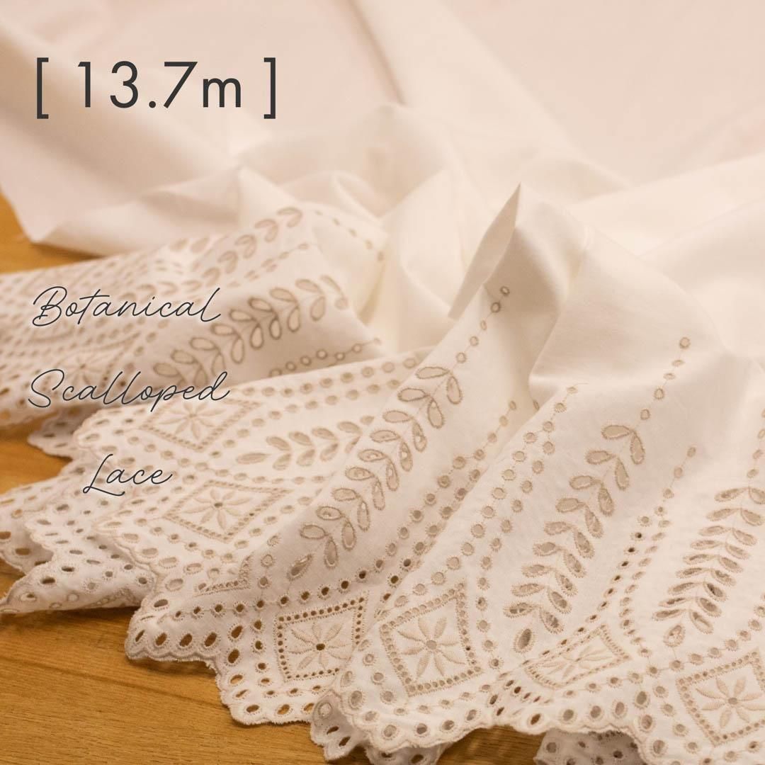 [ åץ졼 ]Ҽåסܥ˥scallopBotanicalåۥ磻ȡߥroll-0010-2 ۥ磻ȡߥ