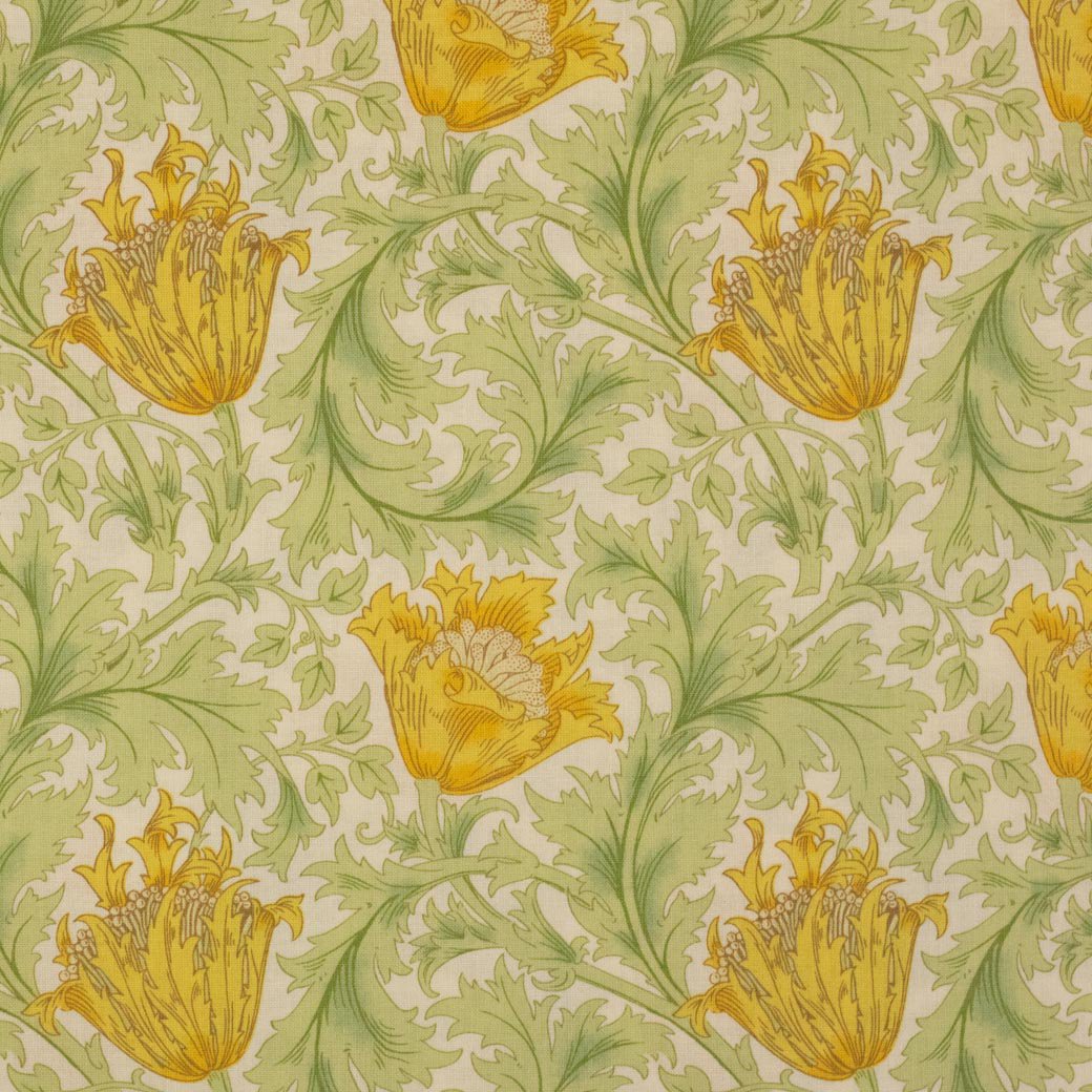 [ V&A William Morris ] Anemoneåͥ͡å󥰡creamorangeva10002-A
<img class='new_mark_img2' src='https://img.shop-pro.jp/img/new/icons5.gif' style='border:none;display:inline;margin:0px;padding:0px;width:auto;' />