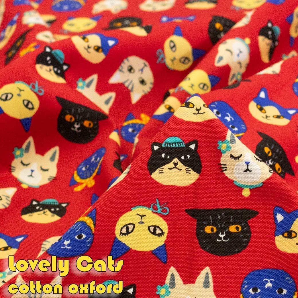 [ åȥ󥪥å ] Lovely Catså֥꡼åġåͥ9280-2 å
