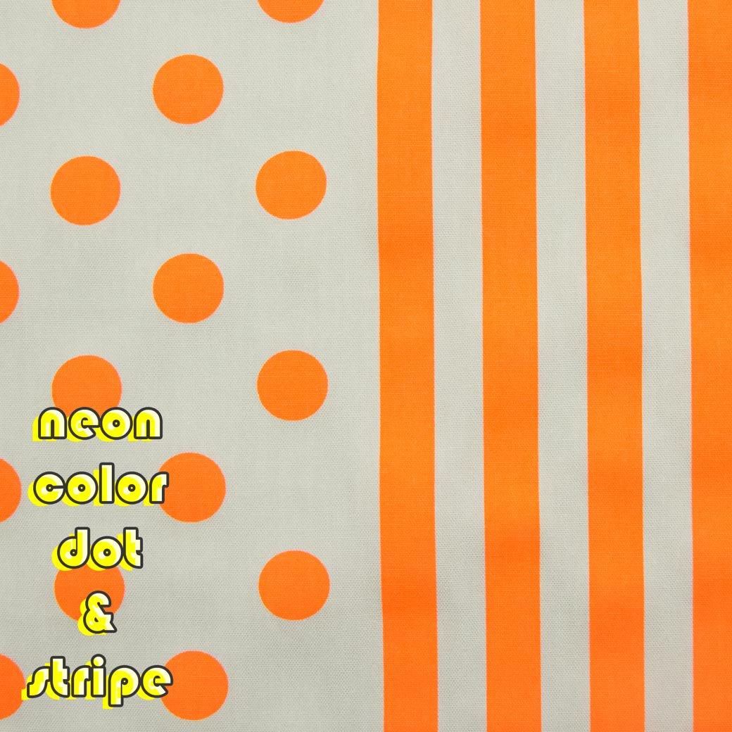 [ åȥ󥪥å ] ͥ󥫥顼ɥåȡȥ饤סneon color9203-24 