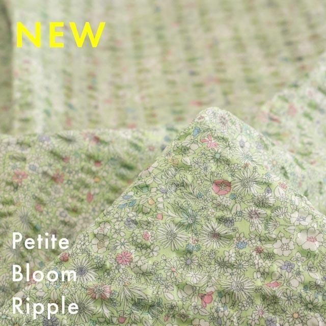 Petite Bloom Rippleåץ֥롼åץååץϡˢˢۡ25053-3 ߥ