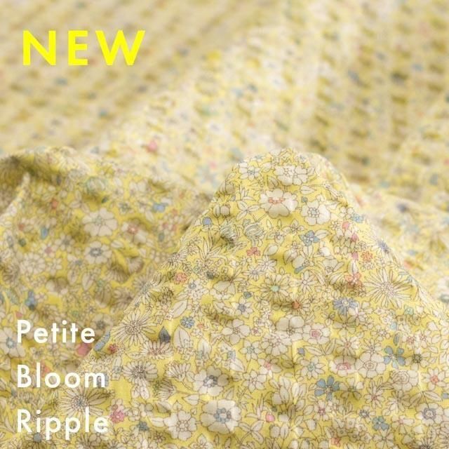 Petite Bloom Rippleåץ֥롼åץååץϡˢˢۡ25053-4 ȥ
