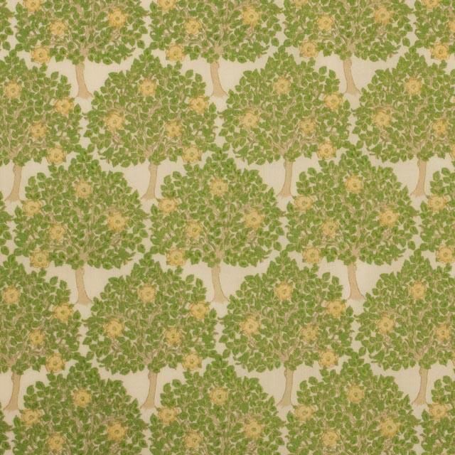 ڥϥۡĹ 70 [ V&A Emglish Garden ]60<img class='new_mark_img2' src='https://img.shop-pro.jp/img/new/icons20.gif' style='border:none;display:inline;margin:0px;padding:0px;width:auto;' />