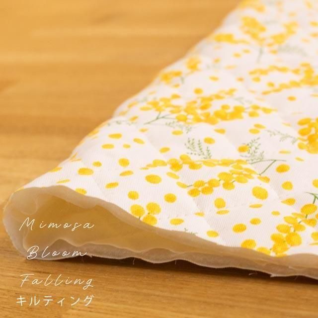 [ ƥ ] Mimosa Bloom Fallingåߥ⥶åϡQ9262-6 ۥ磻