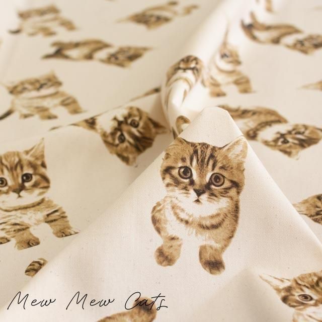 Mew Mew Catsåߥ塼ߥ塼åġååȥ󥪥å25074-1 ȥ֥饦