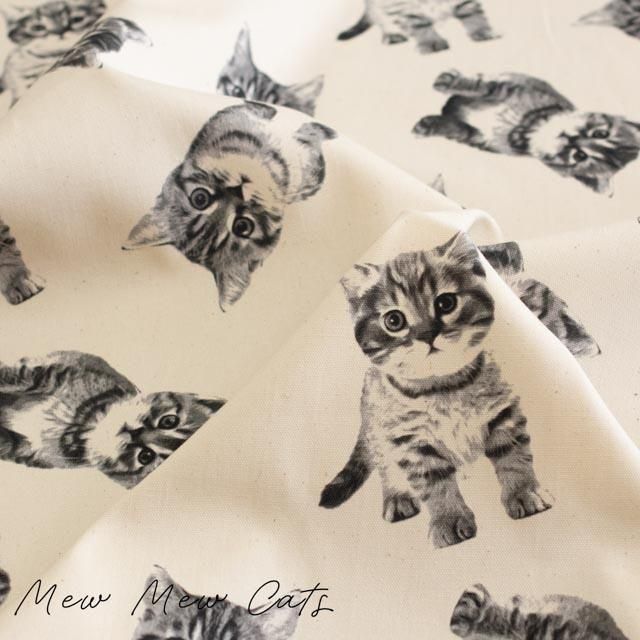 Mew Mew Catsåߥ塼ߥ塼åġååȥ󥪥å25074-3 ʥ֥å
