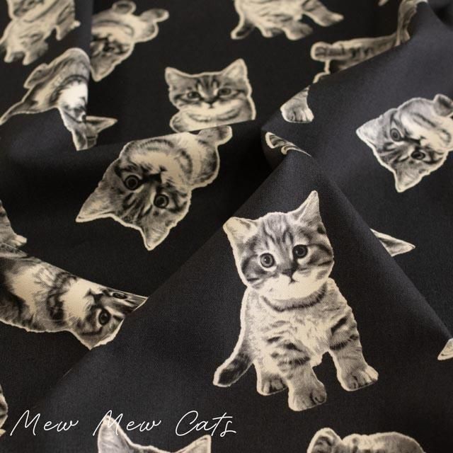 Mew Mew Catsåߥ塼ߥ塼åġååȥ󥪥å25074-4 ֥å