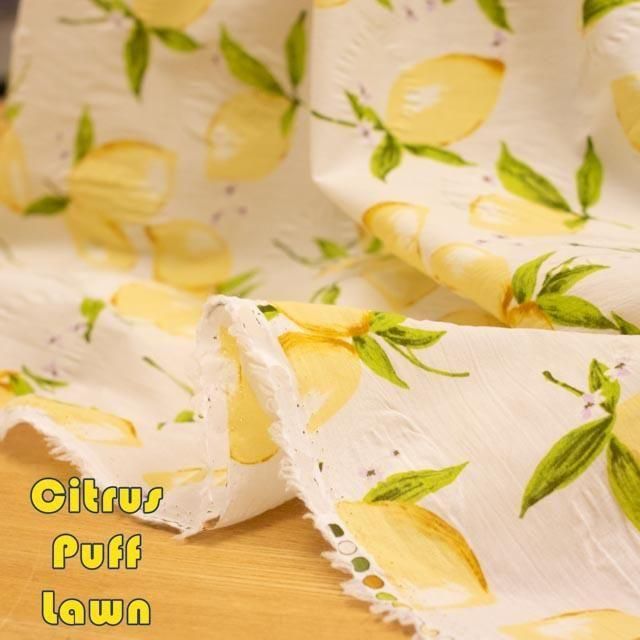 Citrus Puff Lawnåȥ饹ѥաåϡ25081-1 եۥ磻