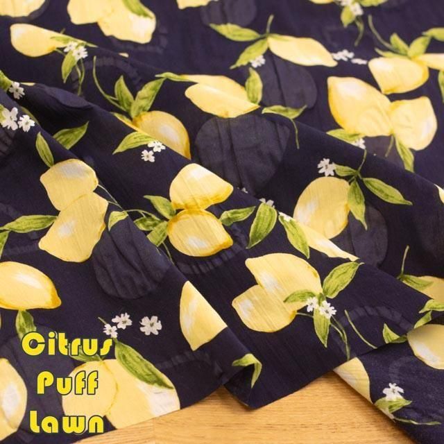 ڥϥۡĹ 100 åȥ80<img class='new_mark_img2' src='https://img.shop-pro.jp/img/new/icons20.gif' style='border:none;display:inline;margin:0px;padding:0px;width:auto;' />