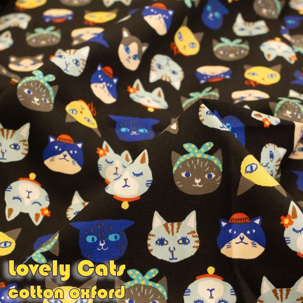 ڥϥۡĹ 55 åȥ󥪥å<img class='new_mark_img2' src='https://img.shop-pro.jp/img/new/icons20.gif' style='border:none;display:inline;margin:0px;padding:0px;width:auto;' />