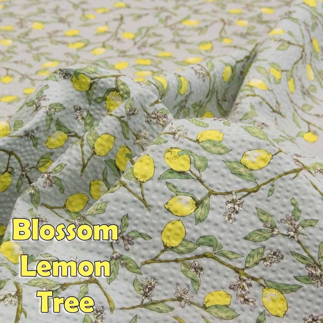 Blossom Lemon Treeåϡååȥݥץåץ9064-3 ߥȥ<img class='new_mark_img2' src='https://img.shop-pro.jp/img/new/icons5.gif' style='border:none;display:inline;margin:0px;padding:0px;width:auto;' />