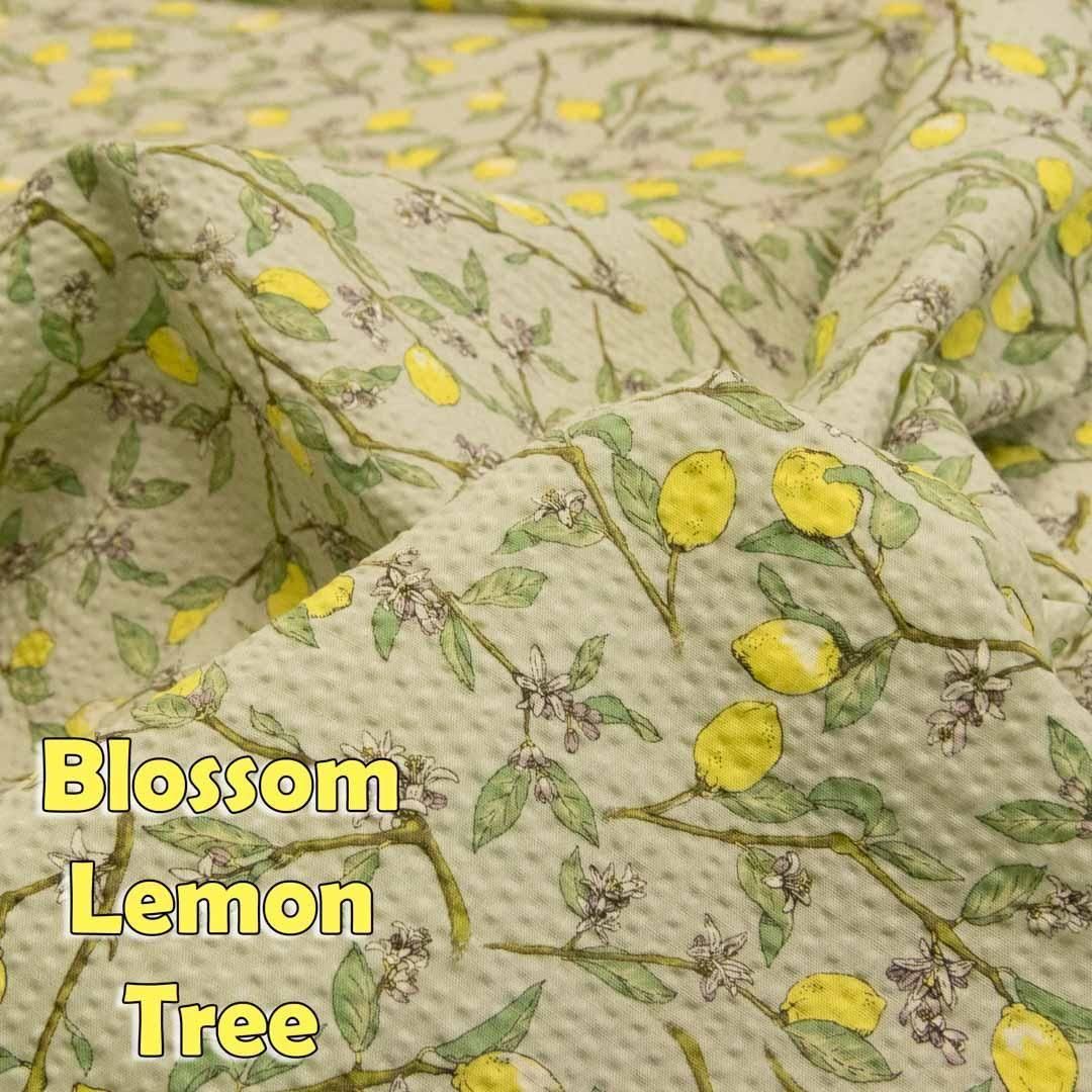 Blossom Lemon Treeåϡååȥݥץåץ9064-4 ߥȥߥ<img class='new_mark_img2' src='https://img.shop-pro.jp/img/new/icons5.gif' style='border:none;display:inline;margin:0px;padding:0px;width:auto;' />