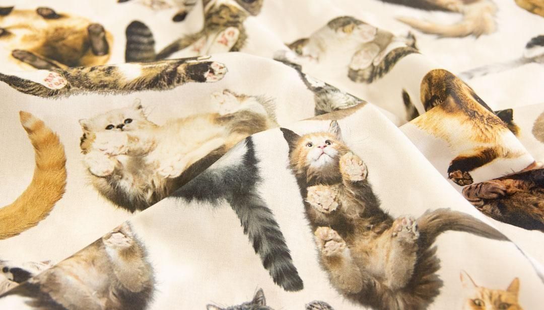 きじねこのきじお グラスウォーカーキャッツ | 猫デザイン - 【キジキジ】布・生地