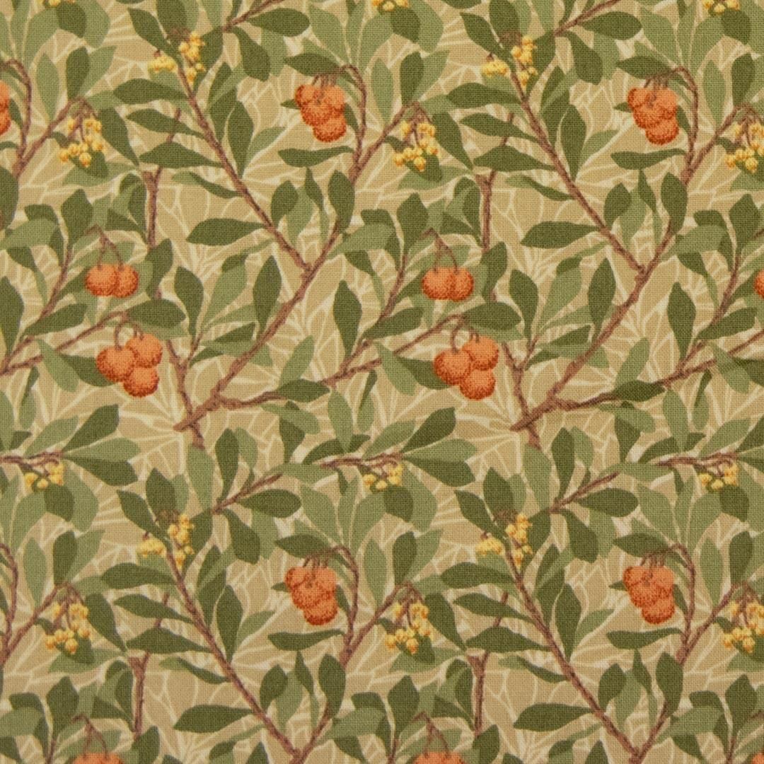 ڥϥۡĹ 70[  MODAbest of morris ]<img class='new_mark_img2' src='https://img.shop-pro.jp/img/new/icons20.gif' style='border:none;display:inline;margin:0px;padding:0px;width:auto;' />