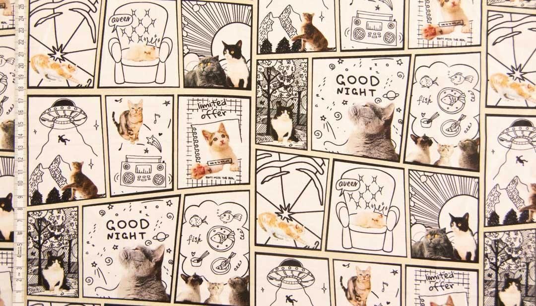 きじねこのきじお ななもも (@kiji1674) • Threads, Say more