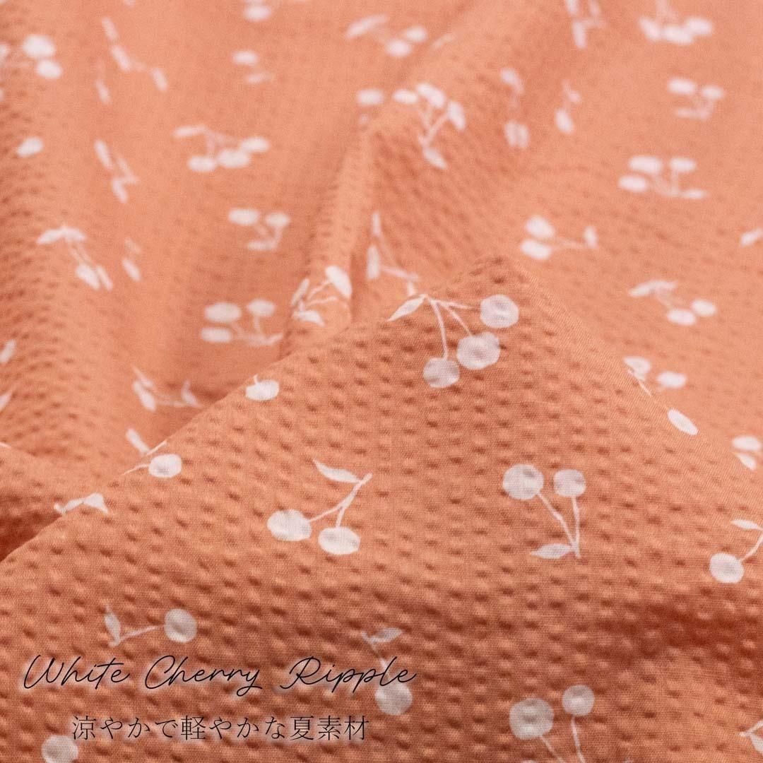 ڥϥۡĹ 70 åȥåץ<img class='new_mark_img2' src='https://img.shop-pro.jp/img/new/icons20.gif' style='border:none;display:inline;margin:0px;padding:0px;width:auto;' />