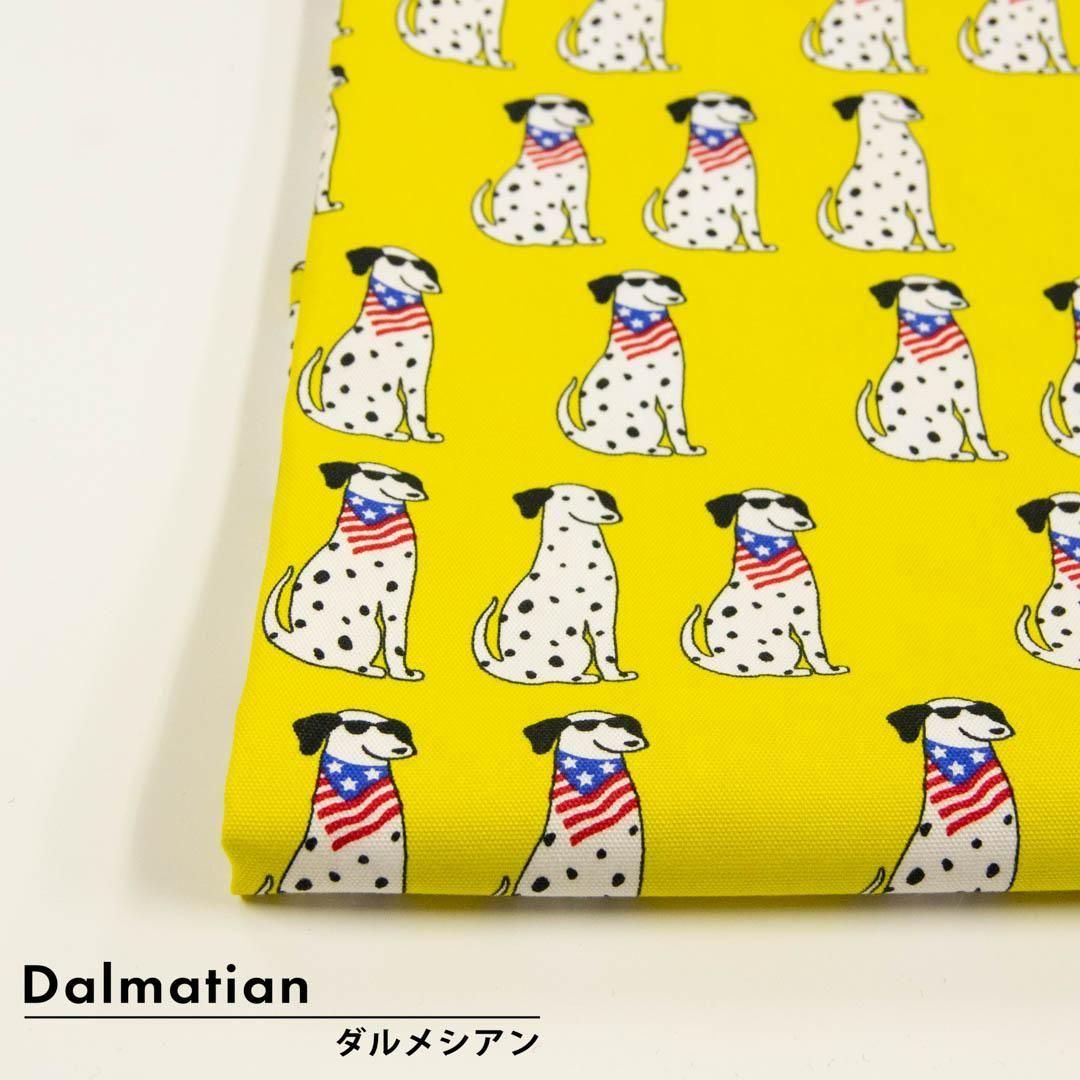 <img class='new_mark_img1' src='https://img.shop-pro.jp/img/new/icons5.gif' style='border:none;display:inline;margin:0px;padding:0px;width:auto;' />Dalmatianå᥷ååȥ󥪥å25242-1 󥰥饹-