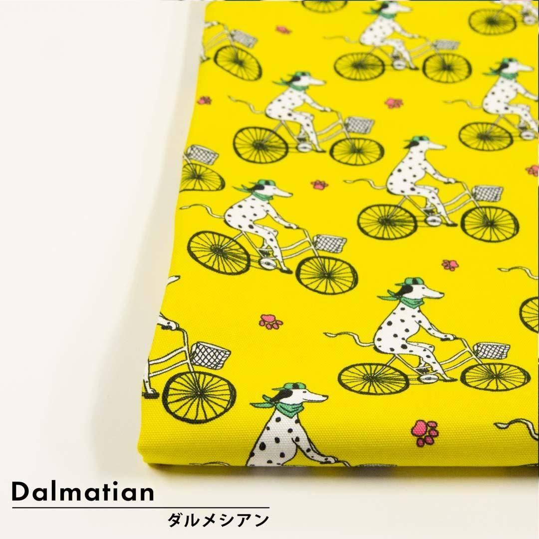 <img class='new_mark_img1' src='https://img.shop-pro.jp/img/new/icons5.gif' style='border:none;display:inline;margin:0px;padding:0px;width:auto;' />Dalmatianå᥷ååȥ󥪥å25242-5 ƥ󥷥-