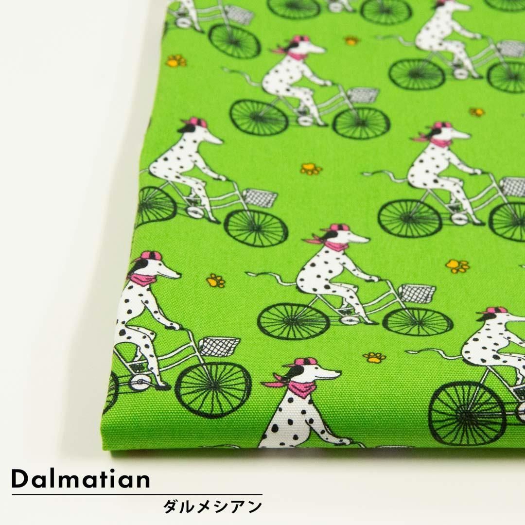 <img class='new_mark_img1' src='https://img.shop-pro.jp/img/new/icons5.gif' style='border:none;display:inline;margin:0px;padding:0px;width:auto;' />Dalmatianå᥷ååȥ󥪥å25242-6 ƥ󥷥-꡼