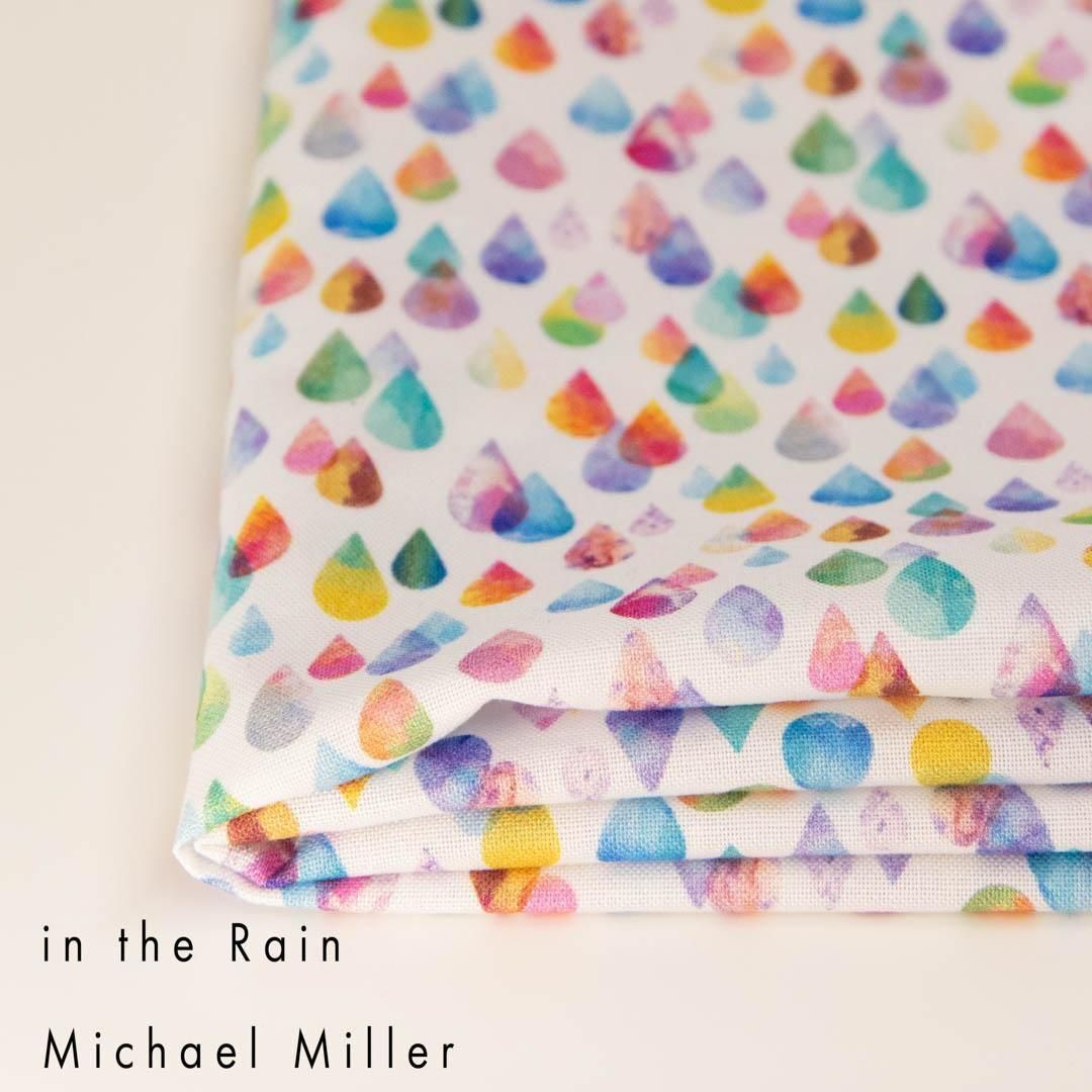 [ USAåȥ ]in the RainMICHAEL MILLERååȥ󥷡󥰡25254-2 쥤ɥå