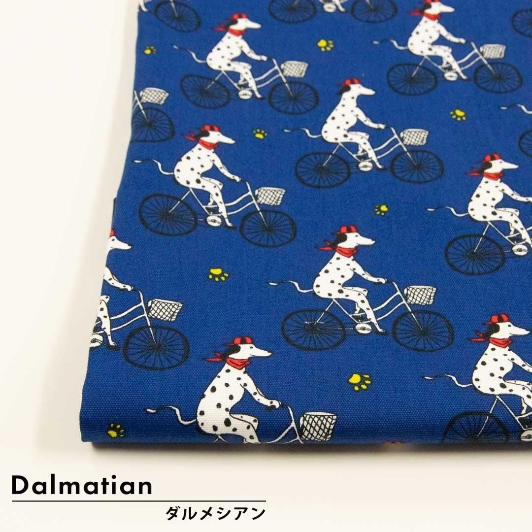 ڥϥۡĹ 100 åȥ󥪥å3<img class='new_mark_img2' src='https://img.shop-pro.jp/img/new/icons20.gif' style='border:none;display:inline;margin:0px;padding:0px;width:auto;' />