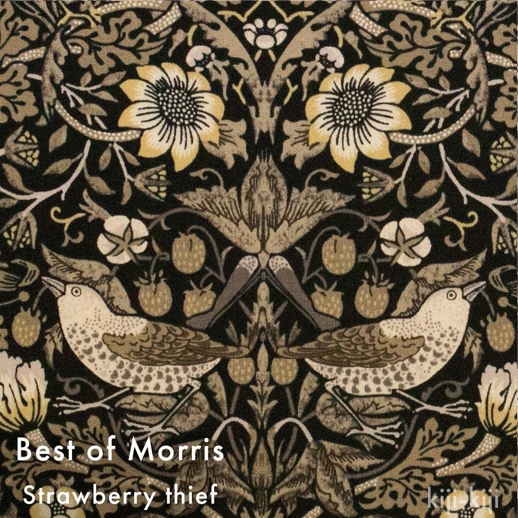 ڥϥۡĹ 100[  MODAbest of morris ]ť<img class='new_mark_img2' src='https://img.shop-pro.jp/img/new/icons20.gif' style='border:none;display:inline;margin:0px;padding:0px;width:auto;' />