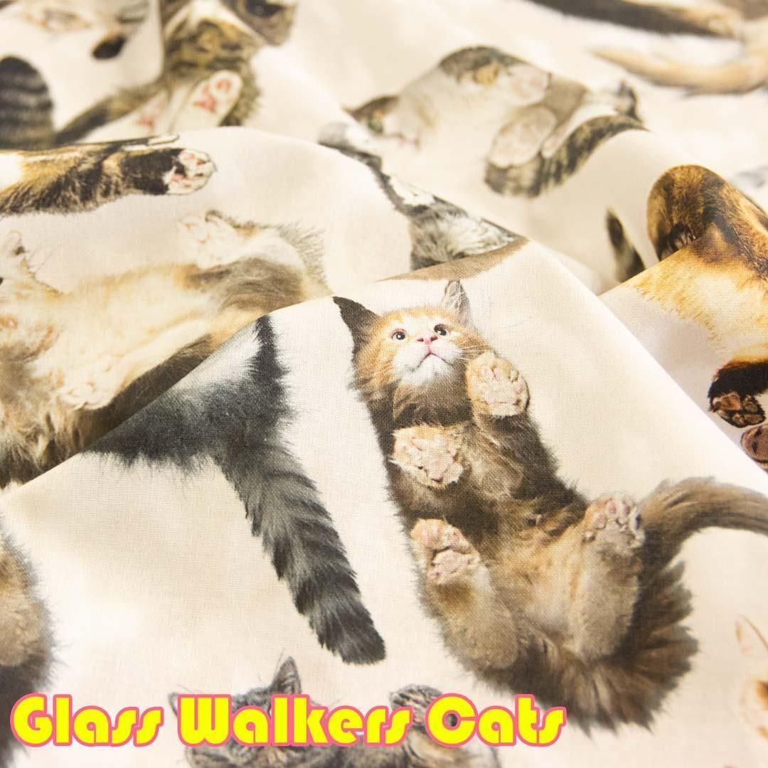 ڥϥۡĹ  65 åȥ󥷡󥰡󥯥åȥץ<img class='new_mark_img2' src='https://img.shop-pro.jp/img/new/icons20.gif' style='border:none;display:inline;margin:0px;padding:0px;width:auto;' />