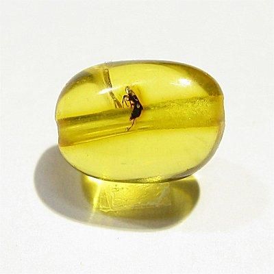 虫入り琥珀 コーパルを1個から粒売り|咲耶開運堂