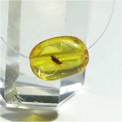 粒売り】虫入りコーパル(琥珀) 穴開済|咲耶開運堂 粒売り】虫入りコーパル(琥珀) 穴開済|咲耶開運堂