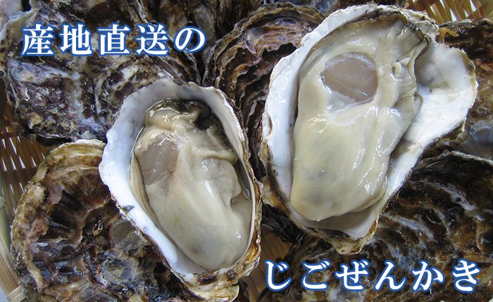広島かきじごぜん 世良水産 殻付かき 生かき 牡蠣 かき の通販