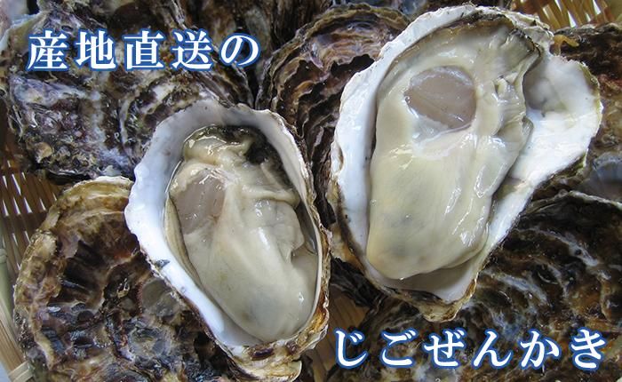 広島かきじごぜん 世良水産 殻付かき 生かき 牡蠣 かき の通販