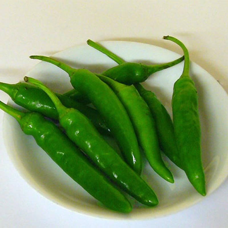 青唐辛子 韓国産 50g メキシコ料理食材 メキシコ料理専門店 メキシコ料理ドットコム 青唐辛子 韓国産 50g メキシコ料理食材 メキシコ料理専門店 メキシコ料理ドットコム