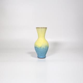 vaseman _ C3color
