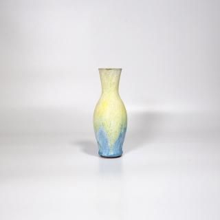 vaseman _ C5color