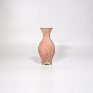 vaseman _ D1color