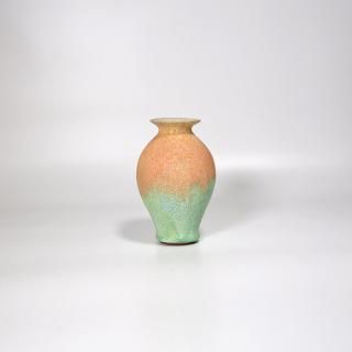 vaseman _ D6color