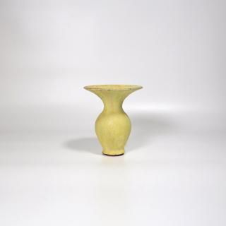 vaseman _ D11color
