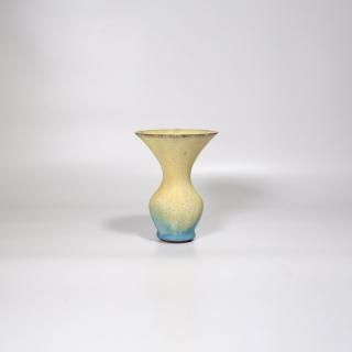 vaseman _ D12color