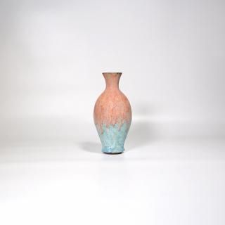 vaseman _ F1color