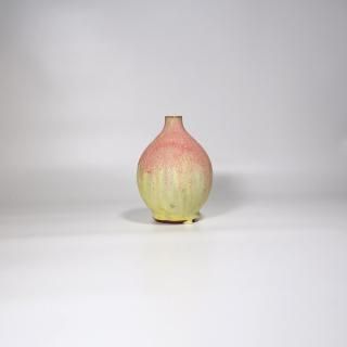 vaseman _ F5color