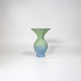 vaseman _ I1color