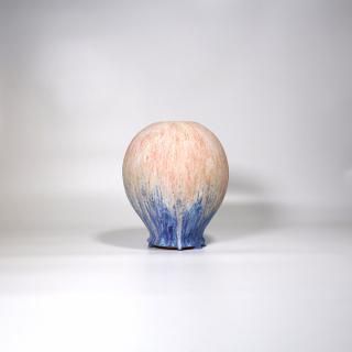 vaseman _ N1color