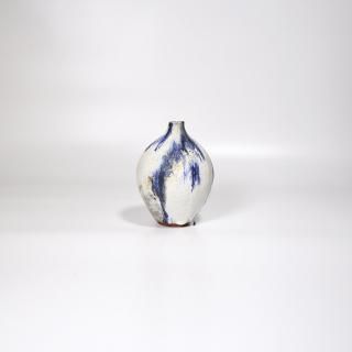 vaseman _ D2blue