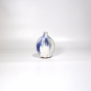 vaseman _ D5blue