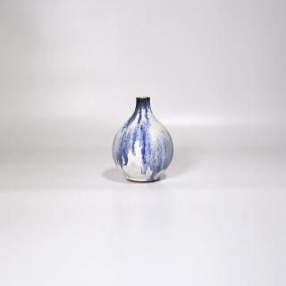 vaseman _ D6blue