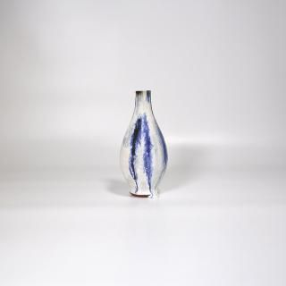 vaseman _ D8blue