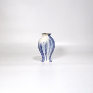 vaseman _ D11blue