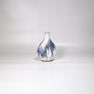 vaseman _ E2blue